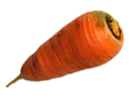 Хранение моркови и корнеплодов