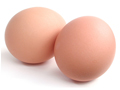 Яйца и продукты из яиц