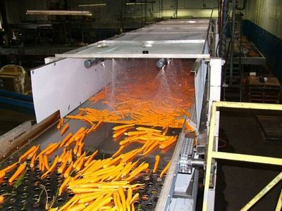 Охлаждение моркови ледяной водой